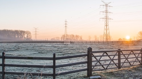 Vue d'un champs sous le givre et de poteaux électriques lors du lever du soleil 