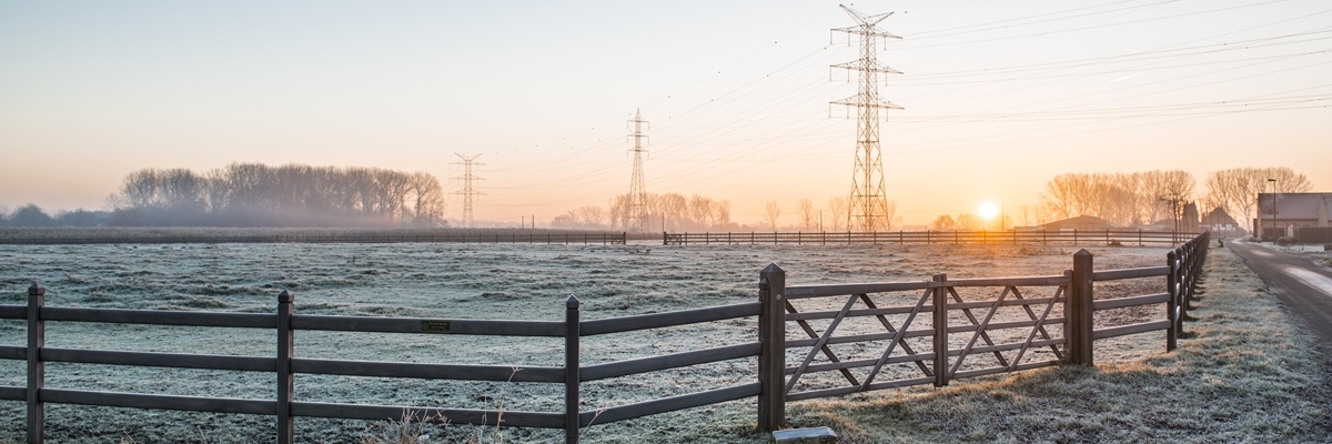 Vue d'un champs sous le givre et de poteaux électriques lors du lever du soleil 