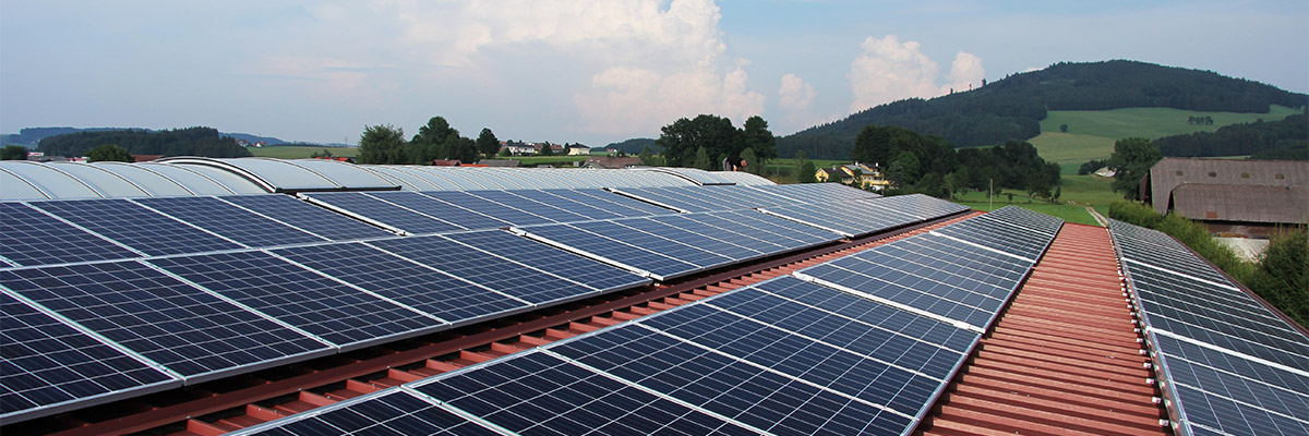 des panneaux solaires sont installés sur le toit d'un entrepot